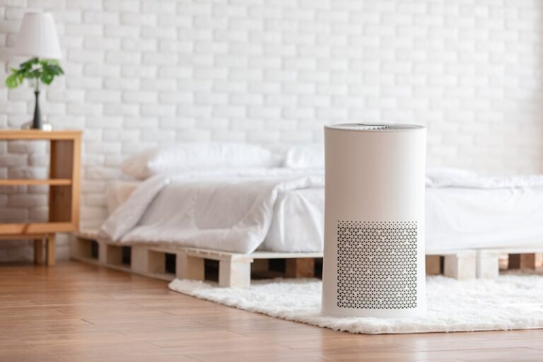 Air Purifier Eliminates Indoor Pollution